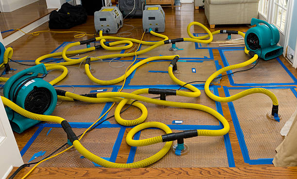 Professional Sewage Cleanup technician working in Bethpage, NY